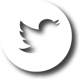 Social Icon Twitter